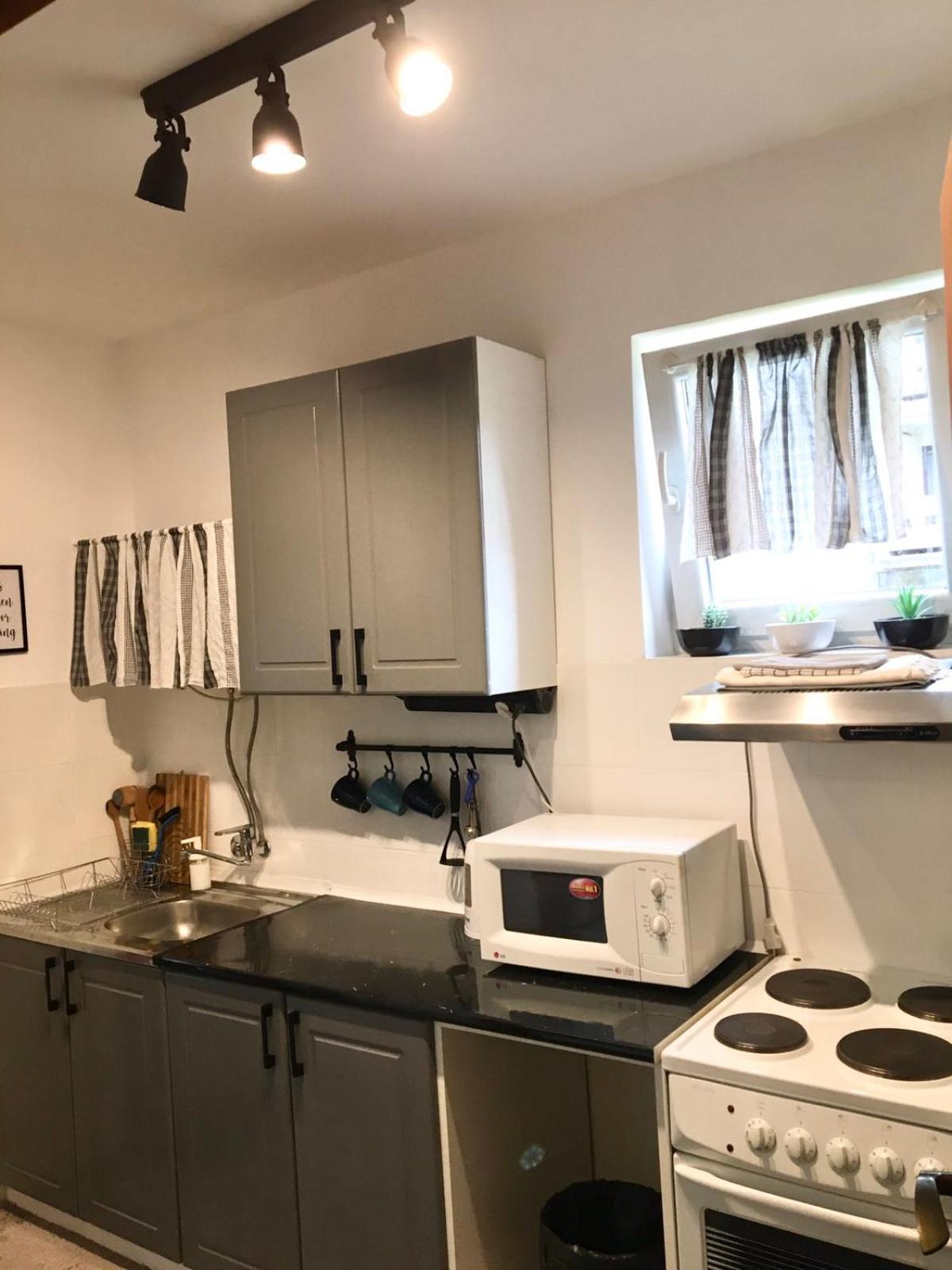 Apartment Dunjic Vrnjačka Banja Buitenkant foto